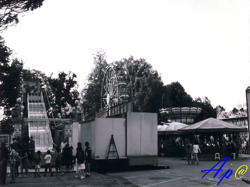 Firenze cascine