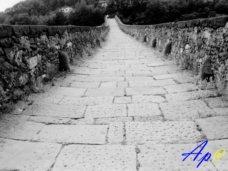 Garfagnana Ponte