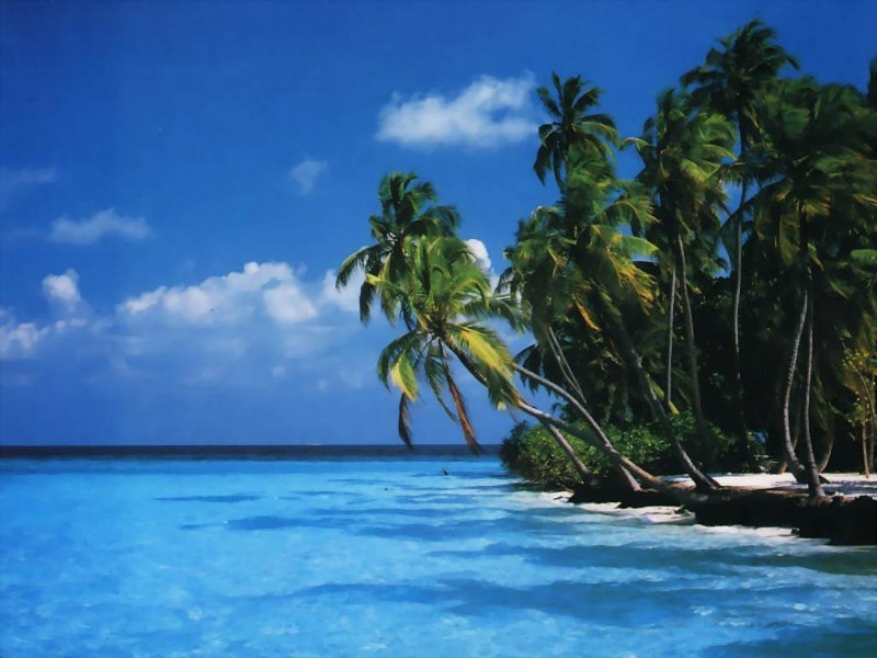 Sea