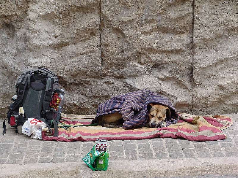 mendicate