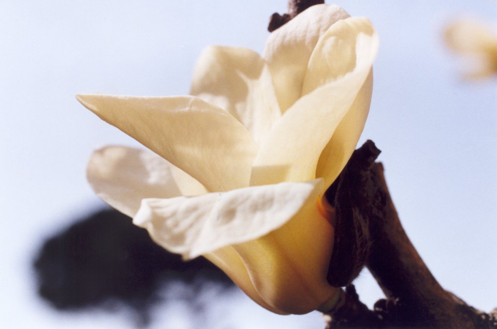 Macro 2