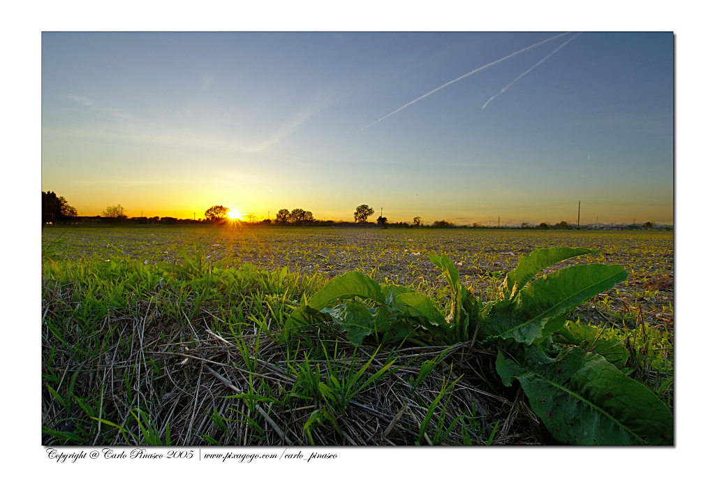 Tramonto a Linate
