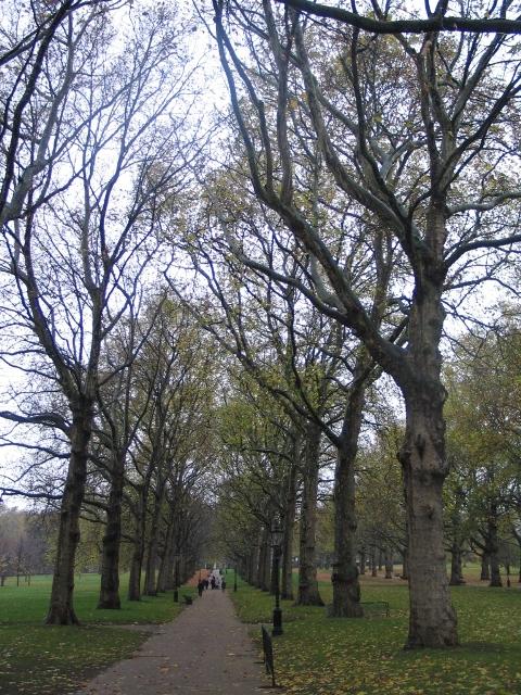 Il parco