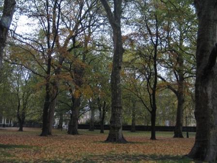 Autunno a Londra