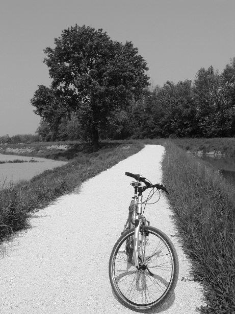 Bici