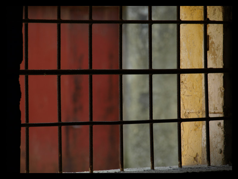 COLORS