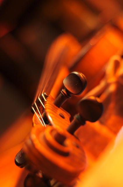 violino