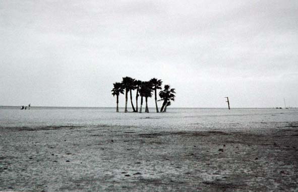 In solitudine... a Sant Vinent de Calders (Tarragona)