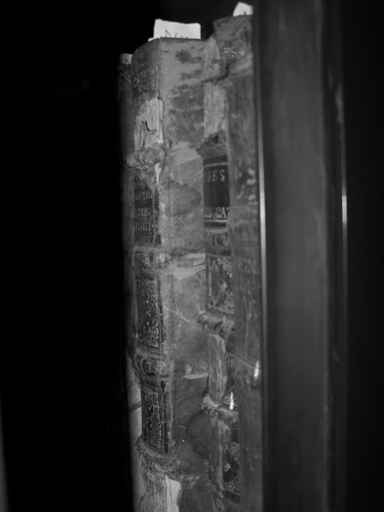 Scorci di cultura