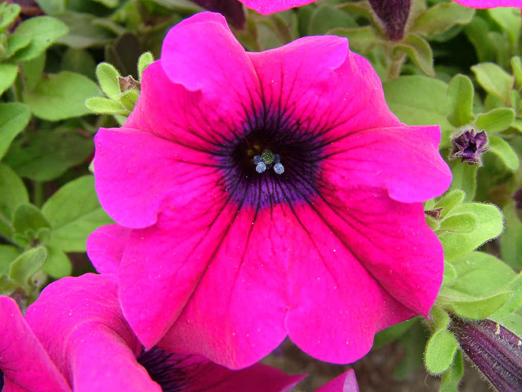 Macro-2
