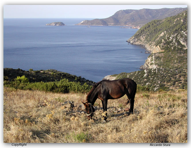 Alonissos Grecia