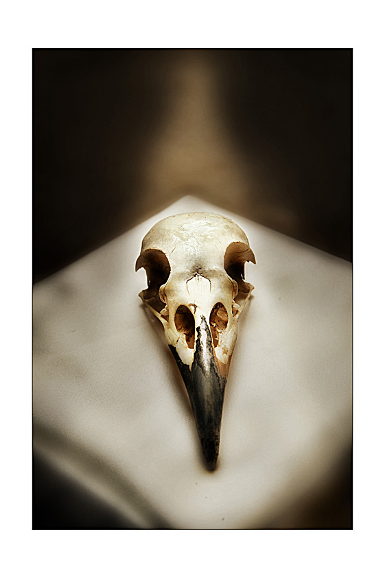 He, once Crow