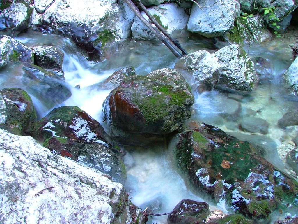 piccolo fiume di montagna