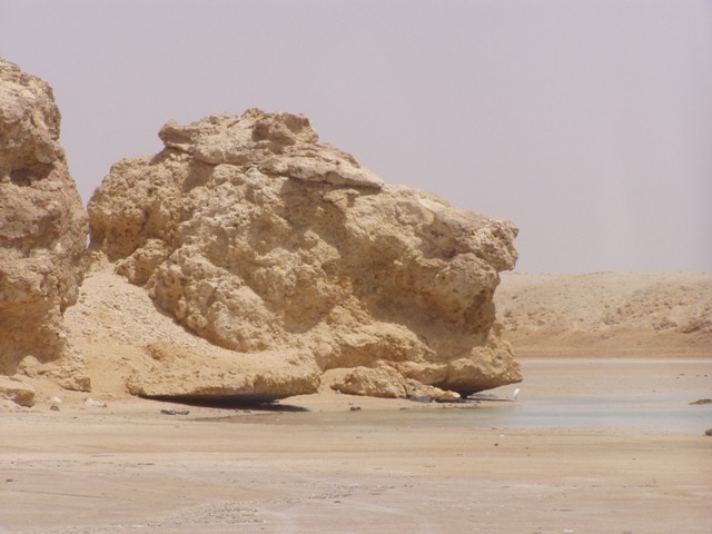 Leone di pietra
