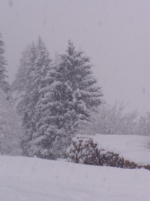 Val di sole 4