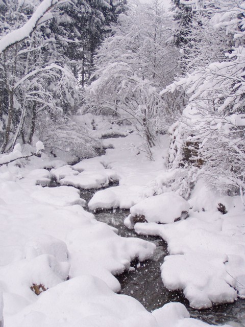 Val di sole 3