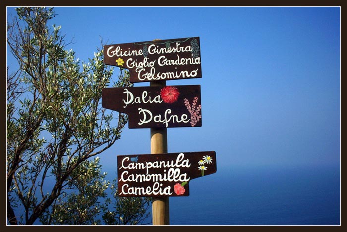 Cinque Terre