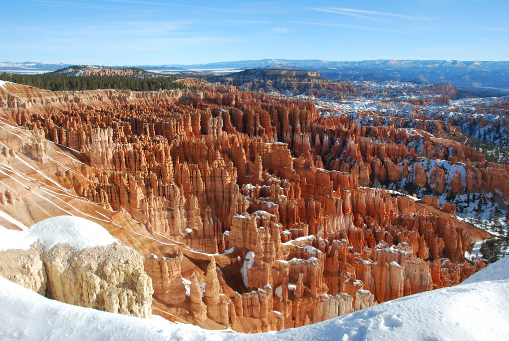 Bryce 2