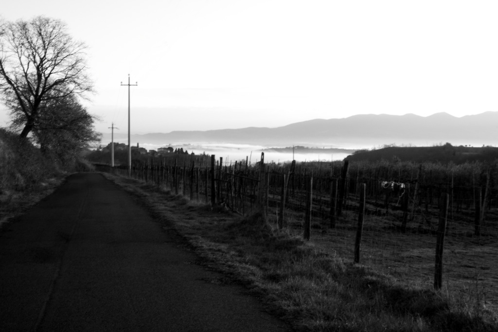 tordimonte B&W