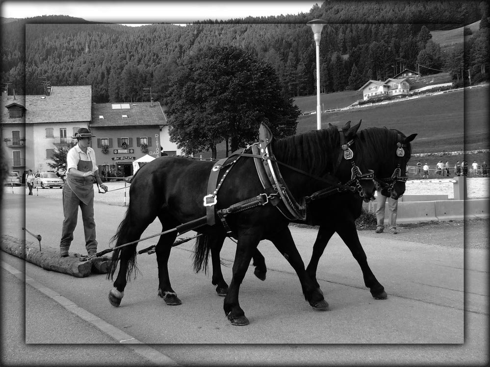 Folgaria Old Style