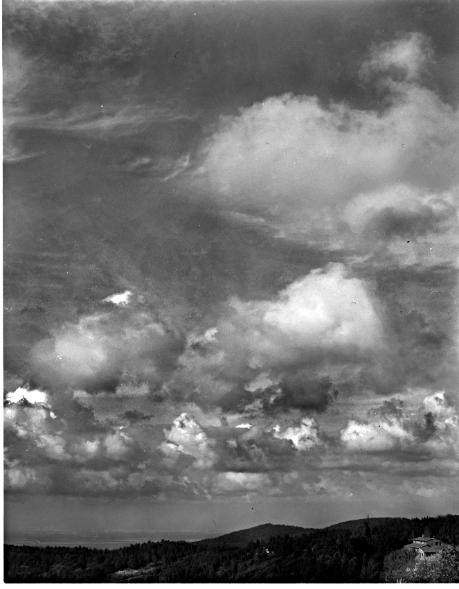 Colline Livornesi