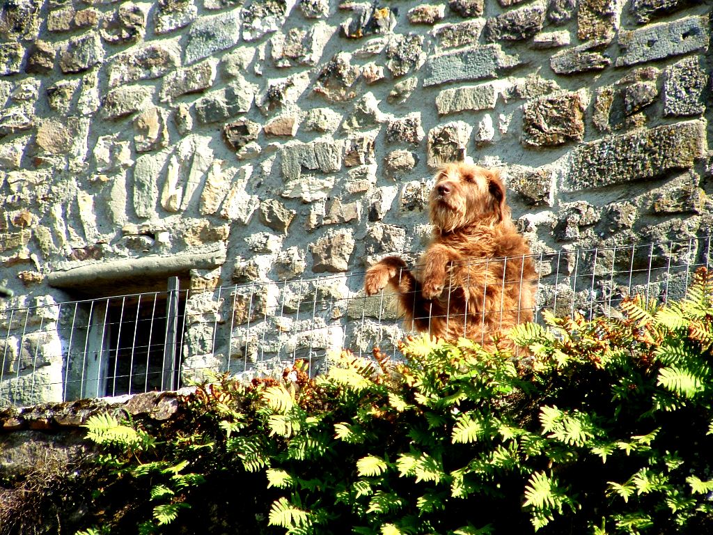 pontremoli 30 aprile 2005 - 008