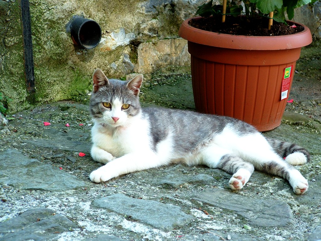 pontremoli 30 aprile 2005 - 006