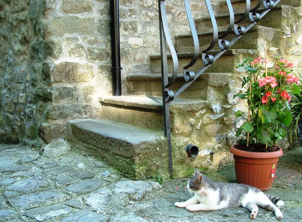 pontremoli 30 aprile 2005 - 004