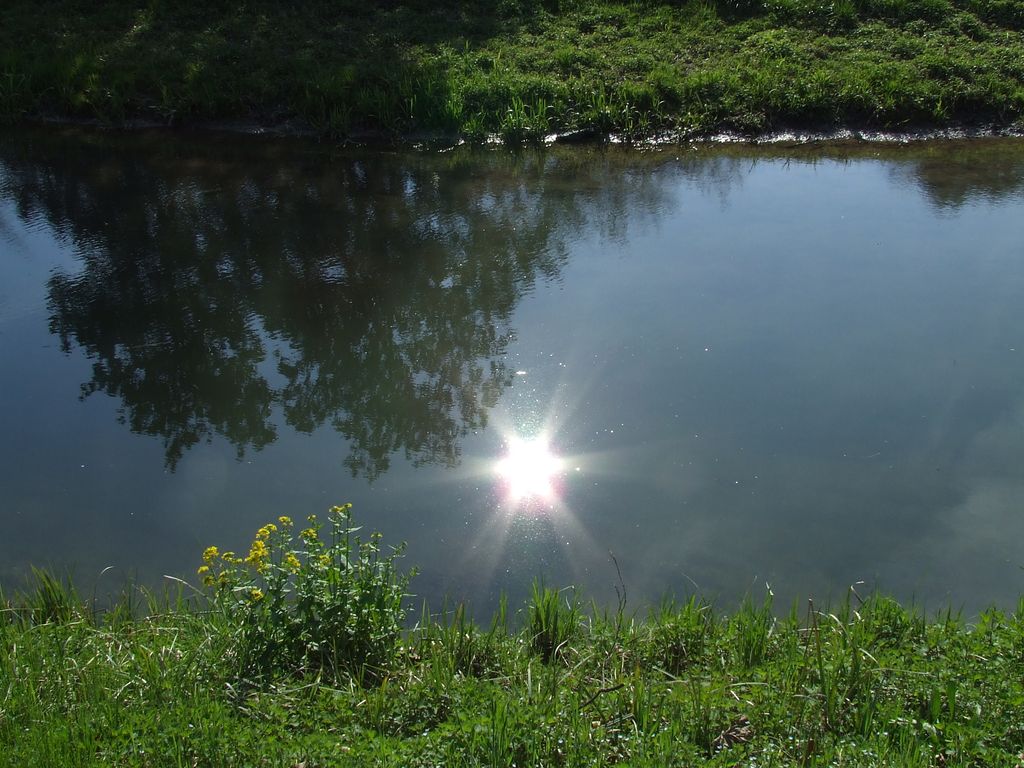 specchio d'acqua