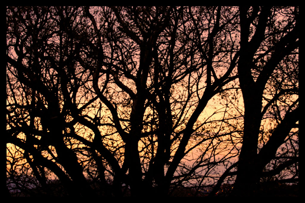 oltre... la luce!