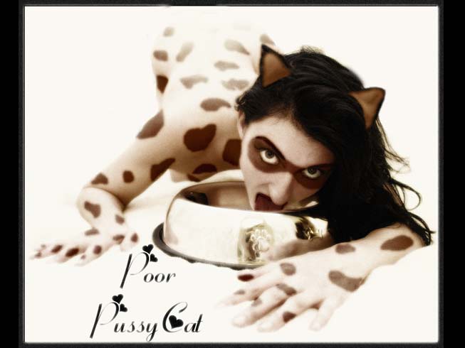 pussycat