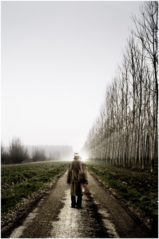 Contest 32: "La strada"