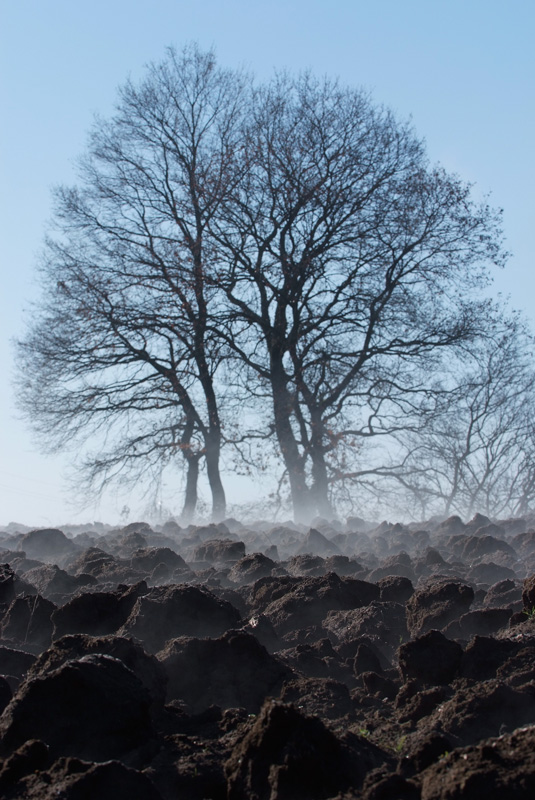 leggera nebbia