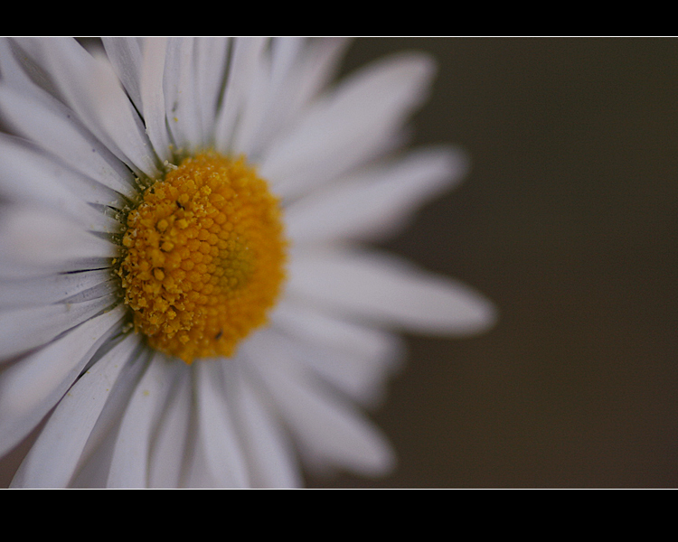 Desktop 16:9