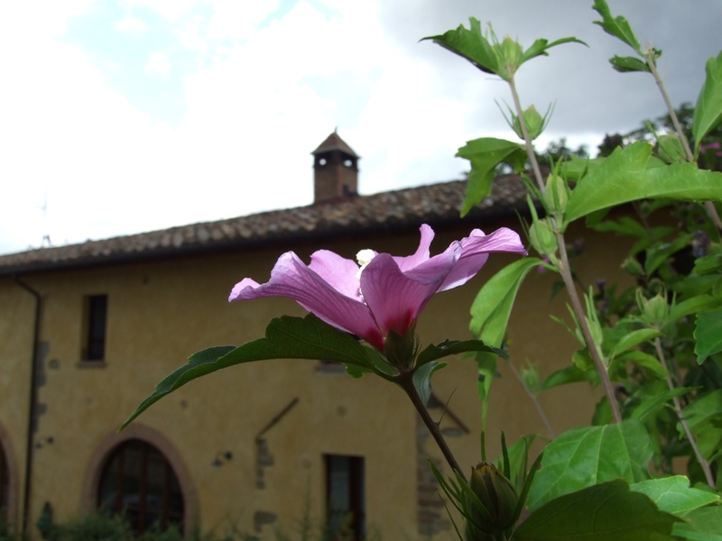 Prima del temporale