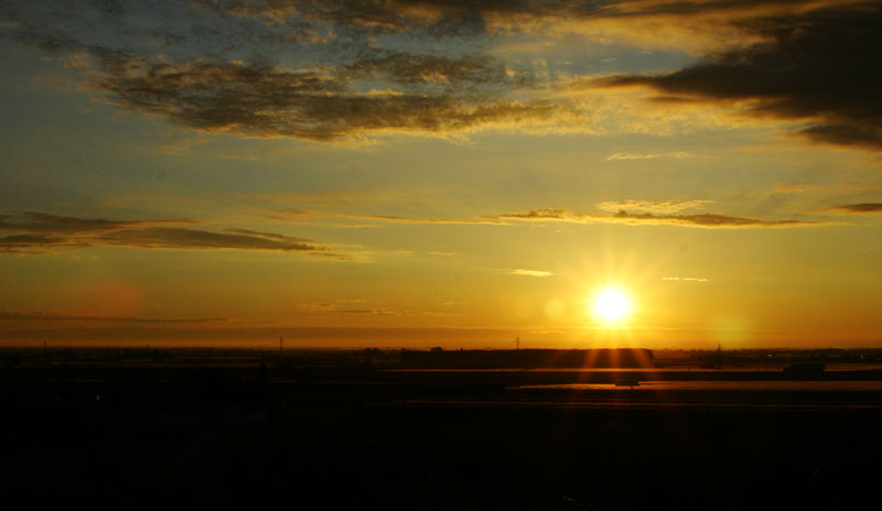 alba