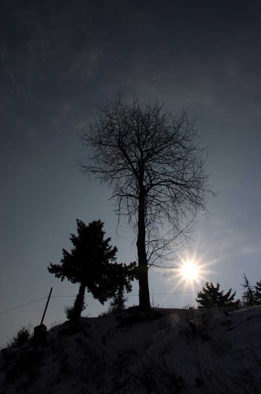 controluce