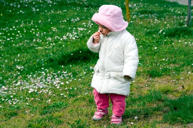 Camilla e il profumo della primavera