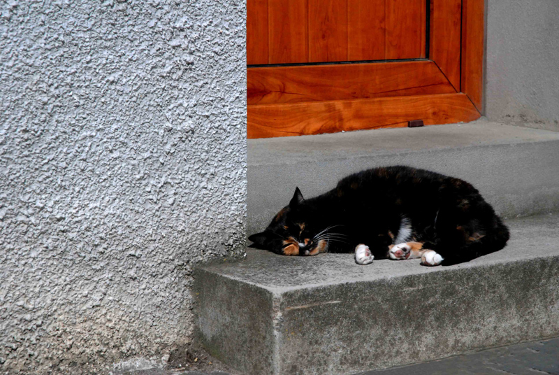 tranquillit