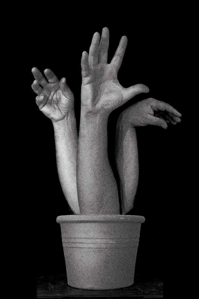 vaso
