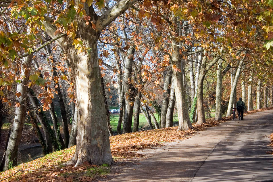 Autunno sul Piovego