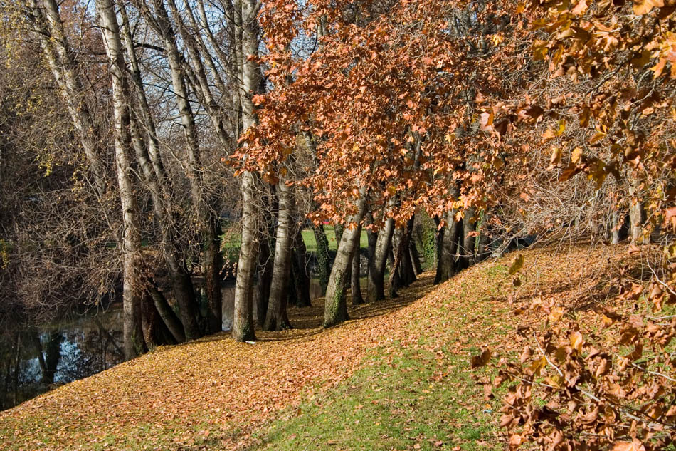 Autunno 2