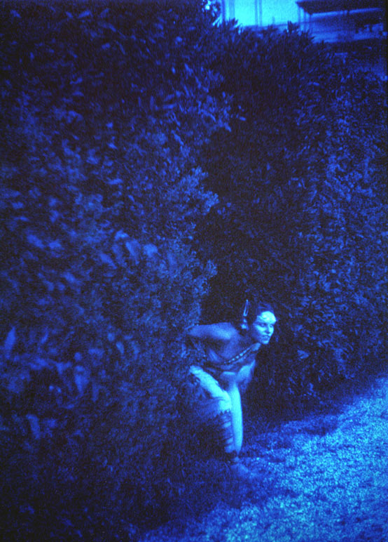 notturnal presents 04