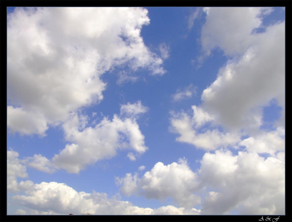 Cielo