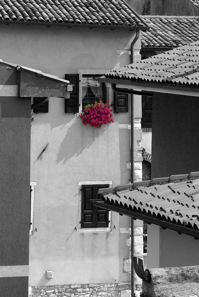 Colore in grigio