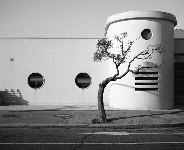Prova Mamiya 7