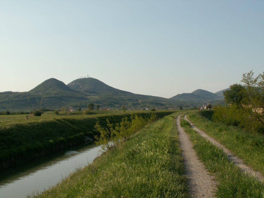 lungo l'argine
