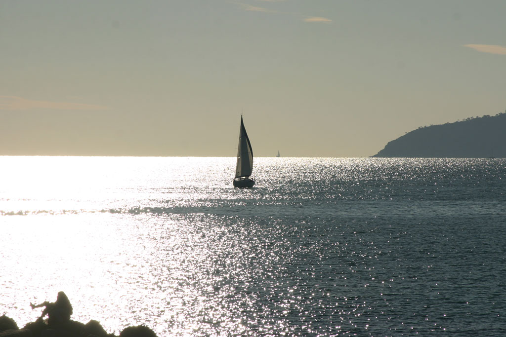 Barca Vela