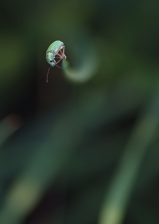 spin