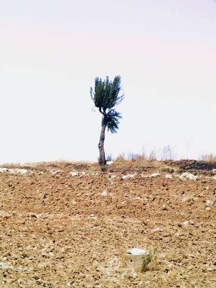 solitudine
